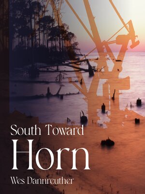 cover image of SOUTH TOWARD HORN